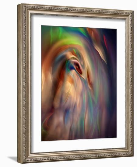 Firebird-Ursula Abresch-Framed Photographic Print