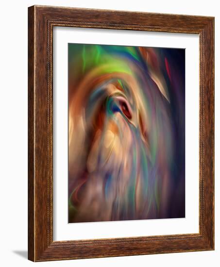 Firebird-Ursula Abresch-Framed Photographic Print