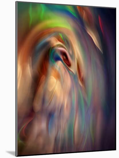 Firebird-Ursula Abresch-Mounted Photographic Print