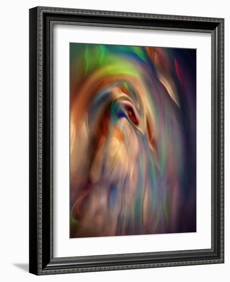 Firebird-Ursula Abresch-Framed Photographic Print