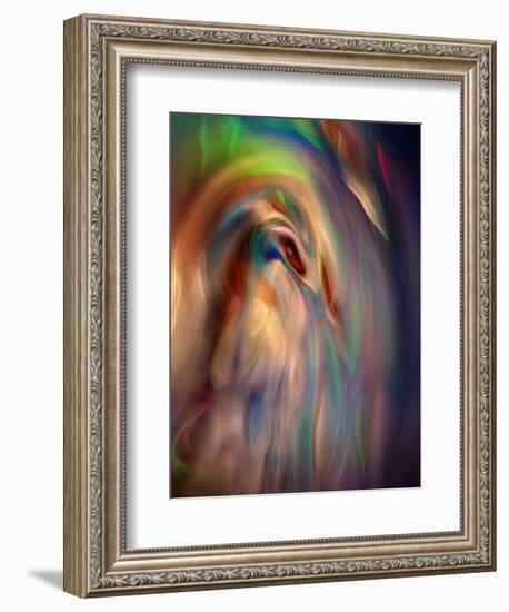 Firebird-Ursula Abresch-Framed Photographic Print