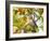 Firecrest amongst oak leaves in autumn, Finland-Markus Varesvuo-Framed Photographic Print