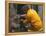 Firefighter Shares His Water an Injured Australian Koala after Wildfires Swept Through the Region-null-Framed Premier Image Canvas