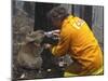 Firefighter Shares His Water an Injured Australian Koala after Wildfires Swept Through the Region-null-Mounted Photographic Print