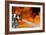 Firefighters Combat a Jp-8 Jet Fuel Fire-null-Framed Photographic Print