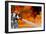 Firefighters Combat a Jp-8 Jet Fuel Fire-null-Framed Photographic Print