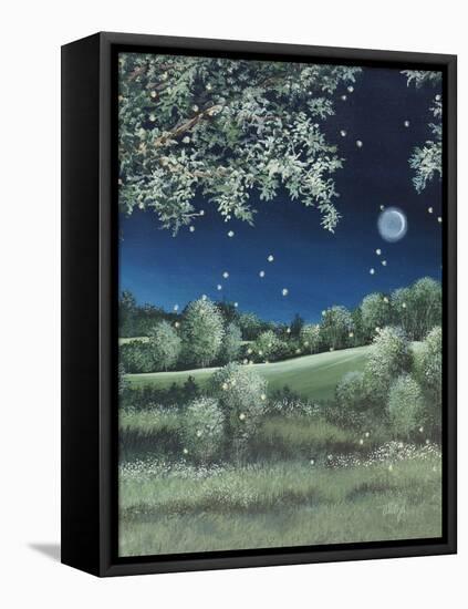 Fireflies Meadow-Debbi Wetzel-Framed Premier Image Canvas