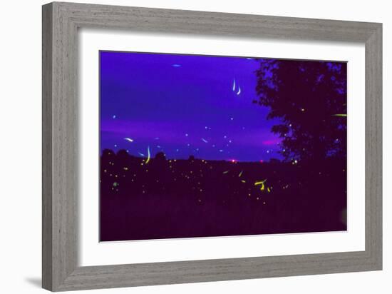 Fireflies Over Bean Fields In Iowa-Keith Kent-Framed Photographic Print