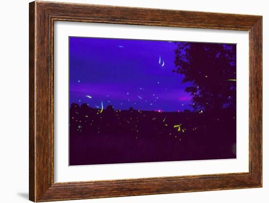 Fireflies Over Bean Fields In Iowa-Keith Kent-Framed Photographic Print