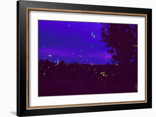 Fireflies Over Bean Fields In Iowa-Keith Kent-Framed Photographic Print