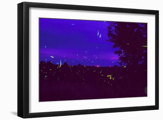 Fireflies Over Bean Fields In Iowa-Keith Kent-Framed Photographic Print