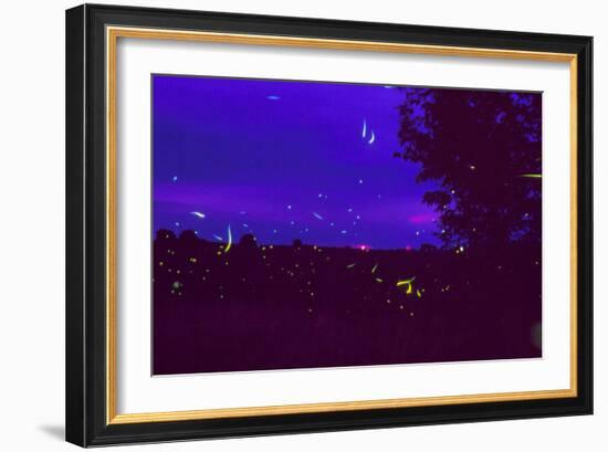 Fireflies Over Bean Fields In Iowa-Keith Kent-Framed Photographic Print