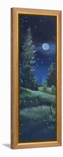 Fireflies-Debbi Wetzel-Framed Premier Image Canvas