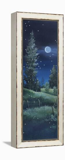 Fireflies-Debbi Wetzel-Framed Premier Image Canvas