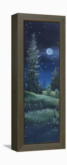 Fireflies-Debbi Wetzel-Framed Premier Image Canvas