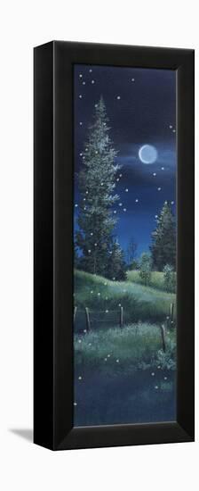 Fireflies-Debbi Wetzel-Framed Premier Image Canvas