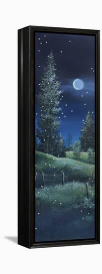 Fireflies-Debbi Wetzel-Framed Premier Image Canvas