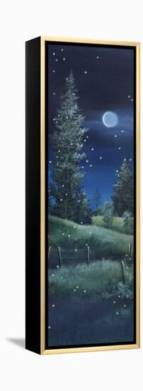 Fireflies-Debbi Wetzel-Framed Premier Image Canvas