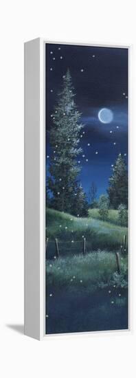 Fireflies-Debbi Wetzel-Framed Premier Image Canvas