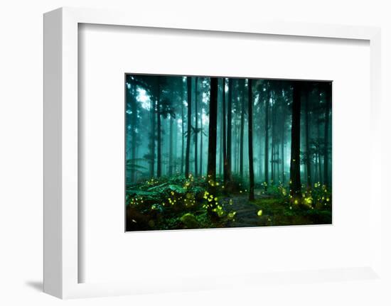 Firefly-htu-Framed Photographic Print