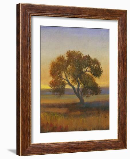 Firelight I-Tim O'toole-Framed Art Print