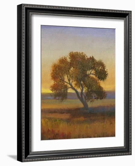 Firelight I-Tim O'toole-Framed Art Print