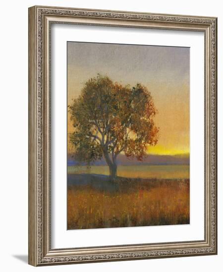 Firelight II-Tim O'toole-Framed Art Print