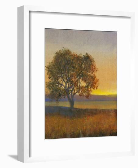 Firelight II-Tim O'toole-Framed Art Print