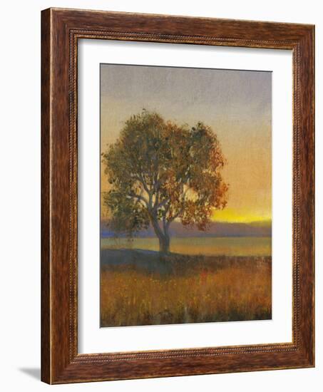 Firelight II-Tim O'toole-Framed Art Print