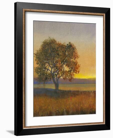 Firelight II-Tim O'toole-Framed Art Print