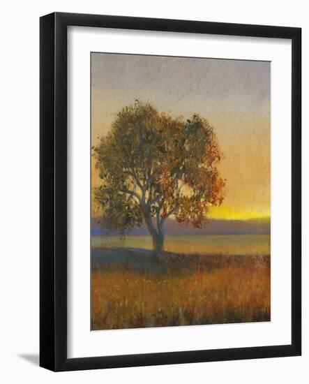 Firelight II-Tim O'toole-Framed Art Print