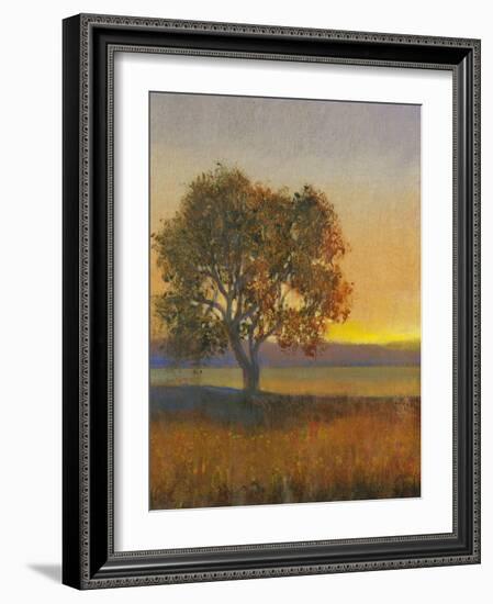 Firelight II-Tim O'toole-Framed Art Print