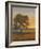 Firelight II-Tim O'toole-Framed Art Print