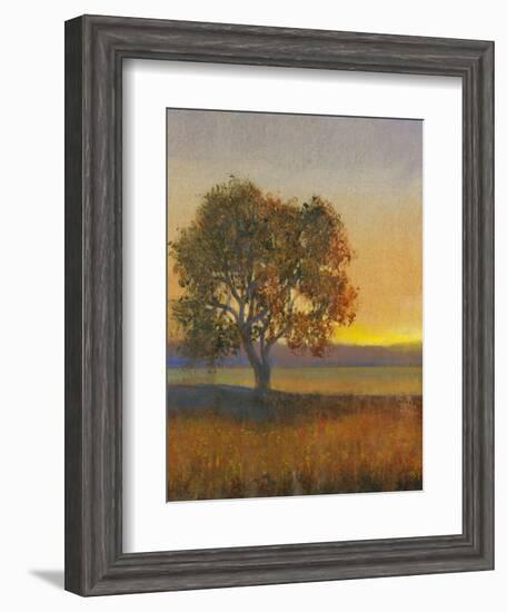 Firelight II-Tim O'toole-Framed Art Print