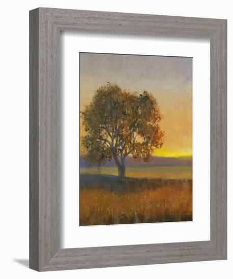 Firelight II-Tim O'toole-Framed Art Print