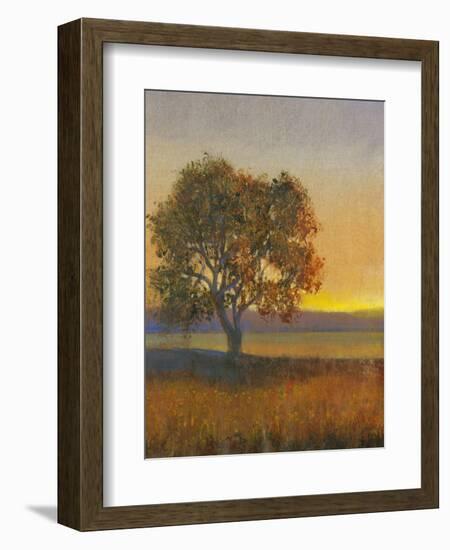 Firelight II-Tim O'toole-Framed Art Print