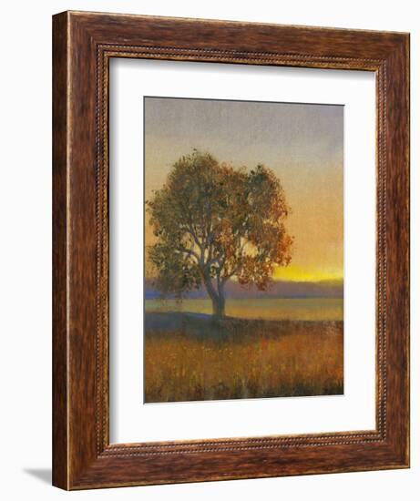 Firelight II-Tim O'toole-Framed Art Print