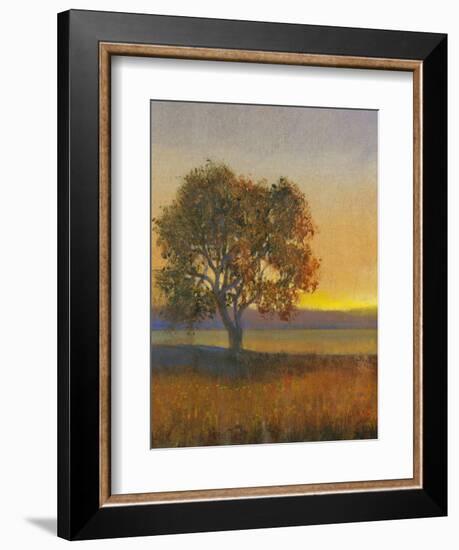 Firelight II-Tim O'toole-Framed Art Print