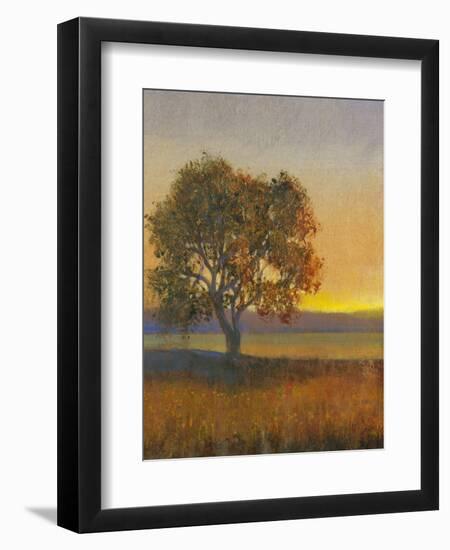 Firelight II-Tim O'toole-Framed Art Print