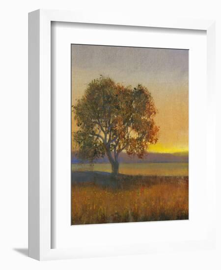 Firelight II-Tim O'toole-Framed Art Print