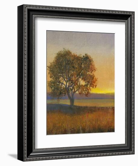 Firelight II-Tim O'toole-Framed Art Print