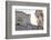 Firenze District, Florence, Firenze, Piazza Duomo, Tuscany, Italy-Francesco Iacobelli-Framed Photographic Print