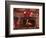 Fireplace with Christmas Stockings-Christine Lowe-Framed Photographic Print