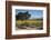 Firestone Winery Vineyards-Stuart Black-Framed Photographic Print