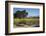 Firestone Winery Vineyards-Stuart Black-Framed Photographic Print