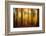 Firewall-Philippe Sainte-Laudy-Framed Photographic Print