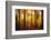 Firewall-Philippe Sainte-Laudy-Framed Photographic Print