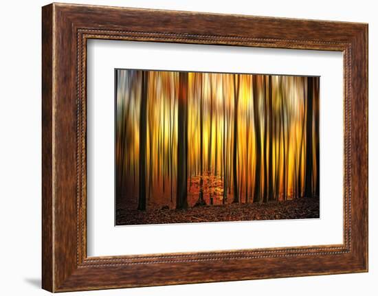 Firewall-Philippe Sainte-Laudy-Framed Photographic Print