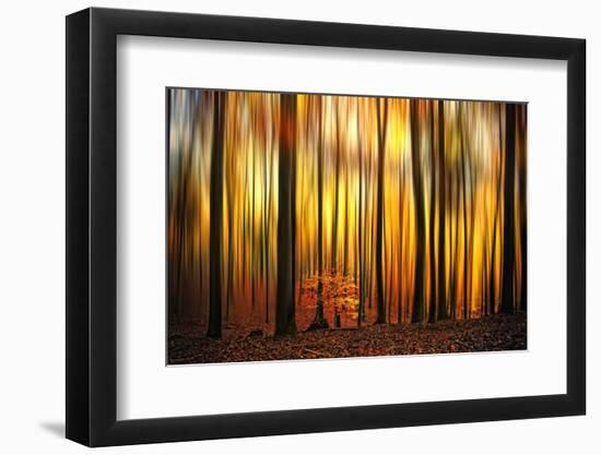 Firewall-Philippe Sainte-Laudy-Framed Photographic Print