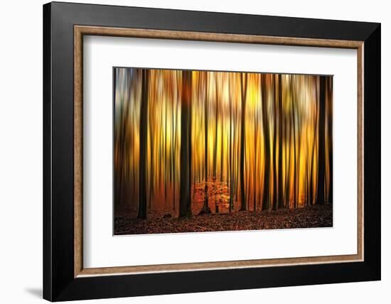 Firewall-Philippe Sainte-Laudy-Framed Photographic Print